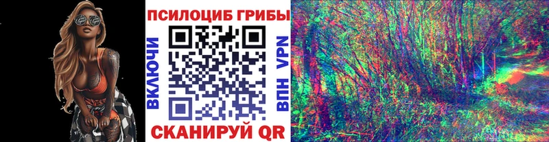 блэк спрут ссылка  Светлоград  Галлюциногенные грибы GOLDEN TEACHER 